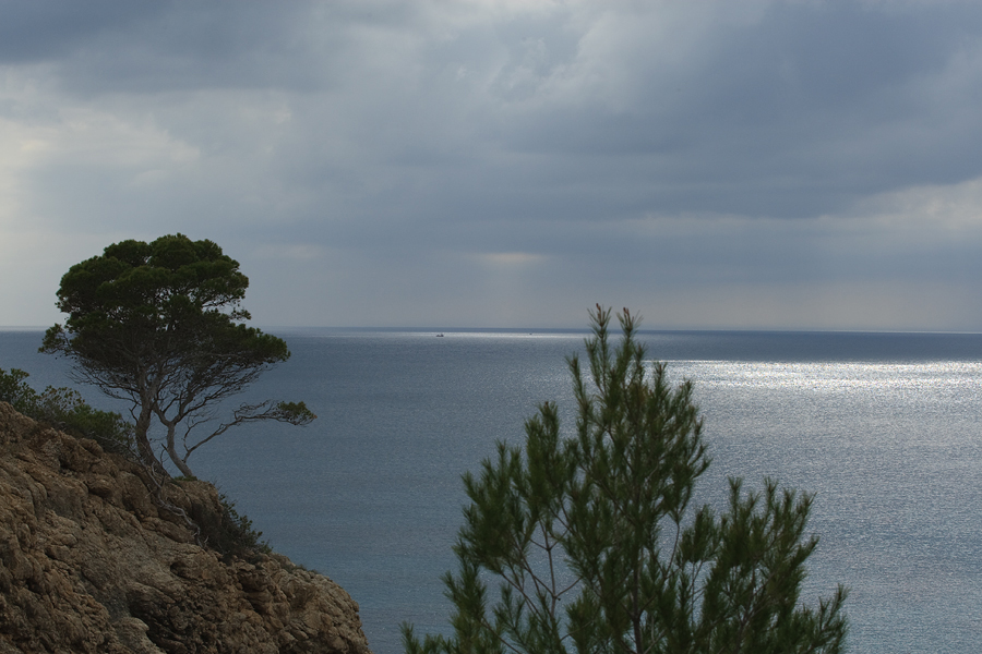  Paguera de Mallorca Paguera